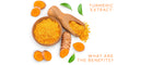 TURMERIC EXTRACT: WHAT ARE THE BENEFITS?
